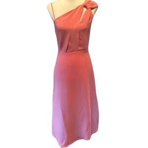NWT Reiss Delilah Pink Dress | size 2
